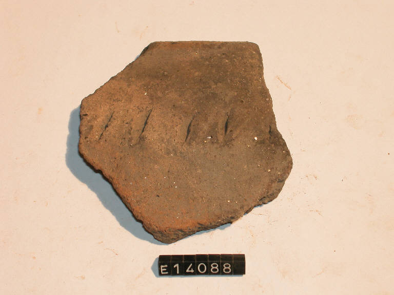 olla - cultura di Golasecca (secc. V/ IV a.C.)