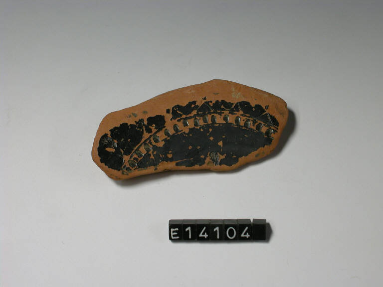 kylix - cultura di Golasecca||produzione attica (secc. V/ IV a.C.)