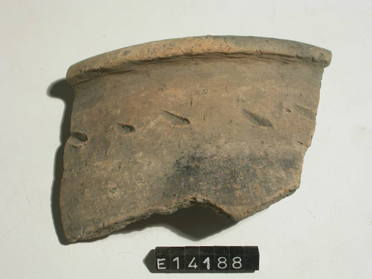 olla - cultura di Golasecca (secc. V/ IV a.C.)