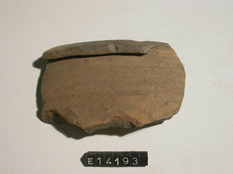 olla a pareti costolate - cultura di Golasecca (secc. V/ IV a.C.)