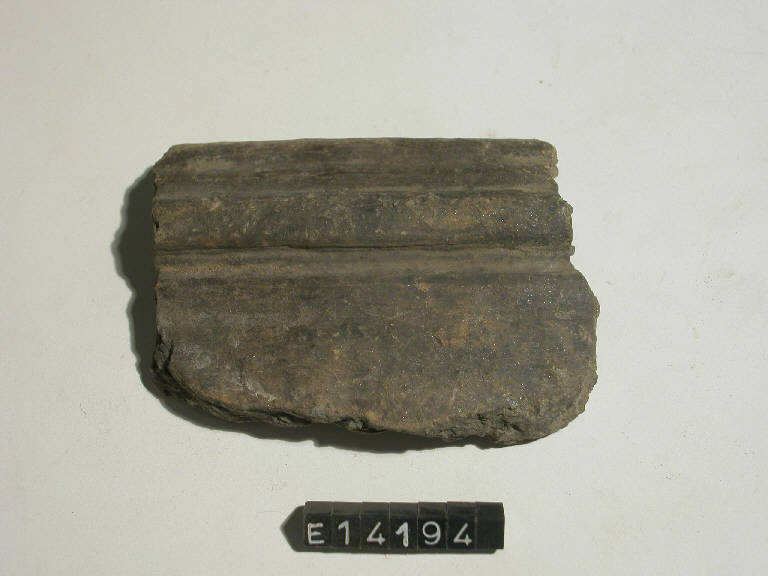 olla a pareti costolate - cultura di Golasecca (secc. V/ IV a.C.)