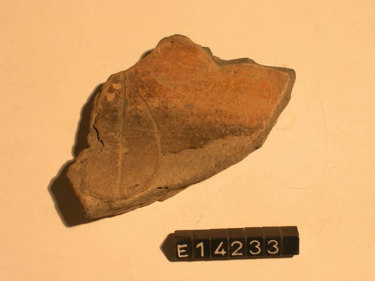 patera - cultura di Golasecca (secc. V/ IV a.C.)