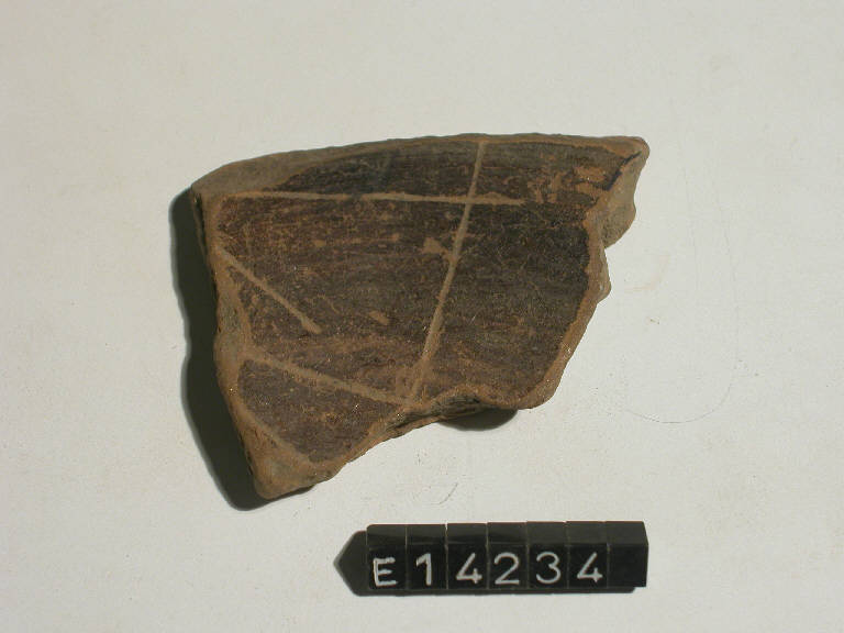 patera - cultura di Golasecca (secc. V/ IV a.C.)