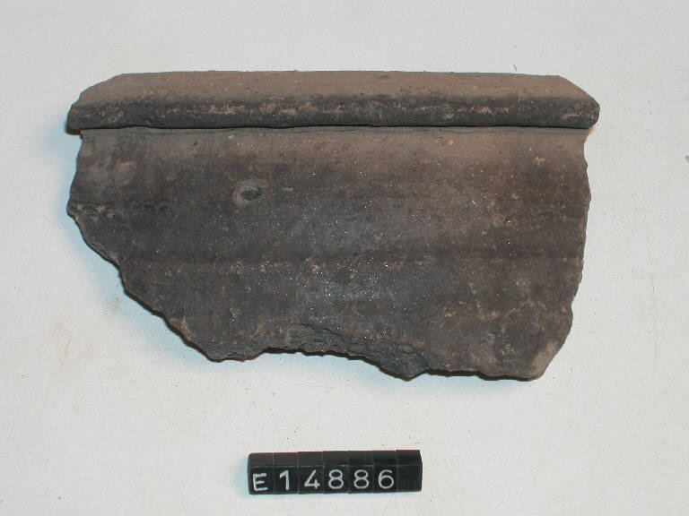 olla - cultura di Golasecca (secc. V/ IV a.C.)