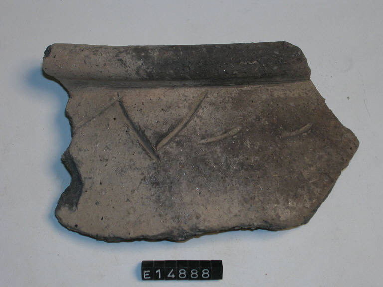 olla - cultura di Golasecca (secc. V/ IV a.C.)