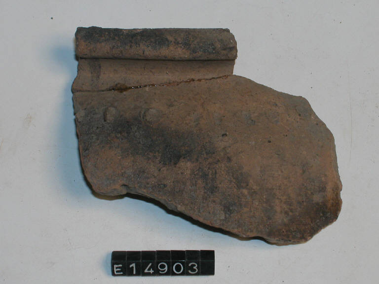 olla - cultura di Golasecca (secc. V/ IV a.C.)