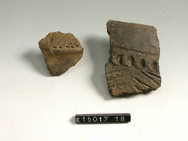 vaso - cultura di Golasecca (secc. V/ IV a.C.)