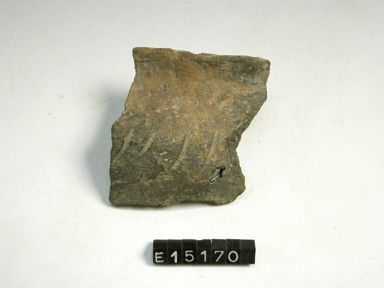 urnetta - cultura di Golasecca (secc. V/ IV a.C.)