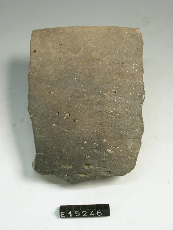 coperchio - cultura di Golasecca (secc. V/ IV a.C.)