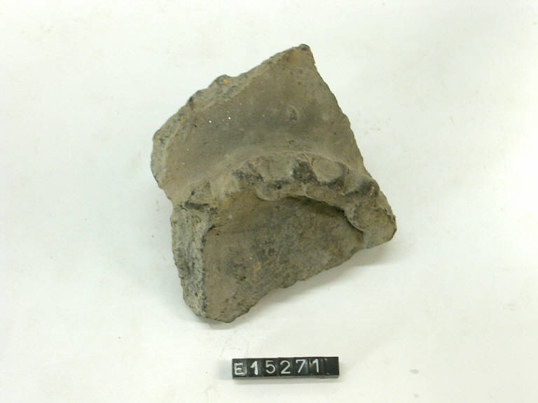 olla (frammento di) - cultura di Golasecca (secc. V/ IV a.C.)