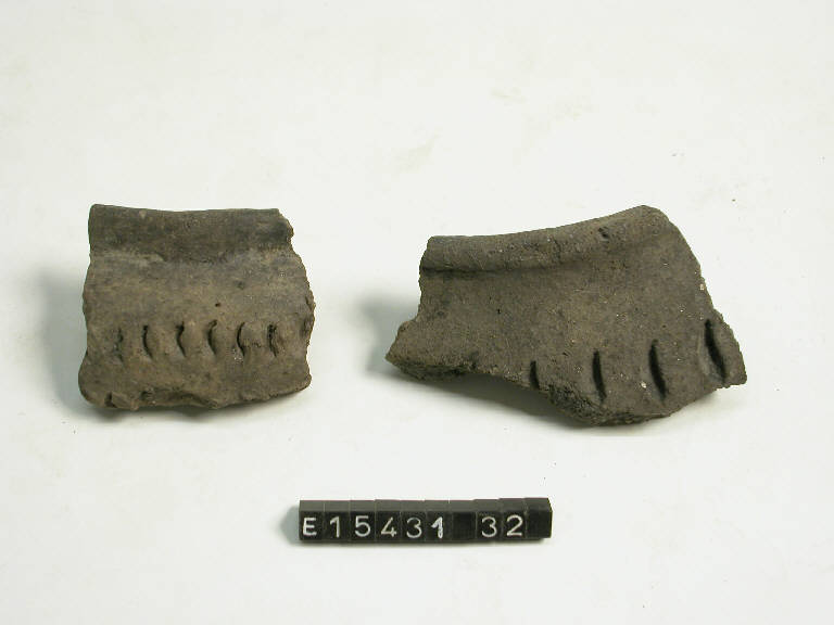 olla - cultura di Golasecca (secc. V/ IV a.C.)