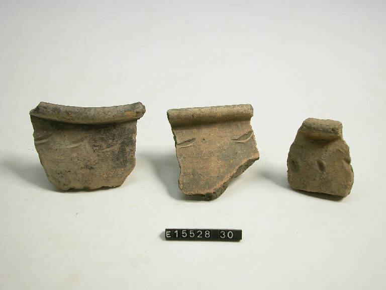 olla (frammento di) - cultura di Golasecca (secc. V/ IV a.C.)