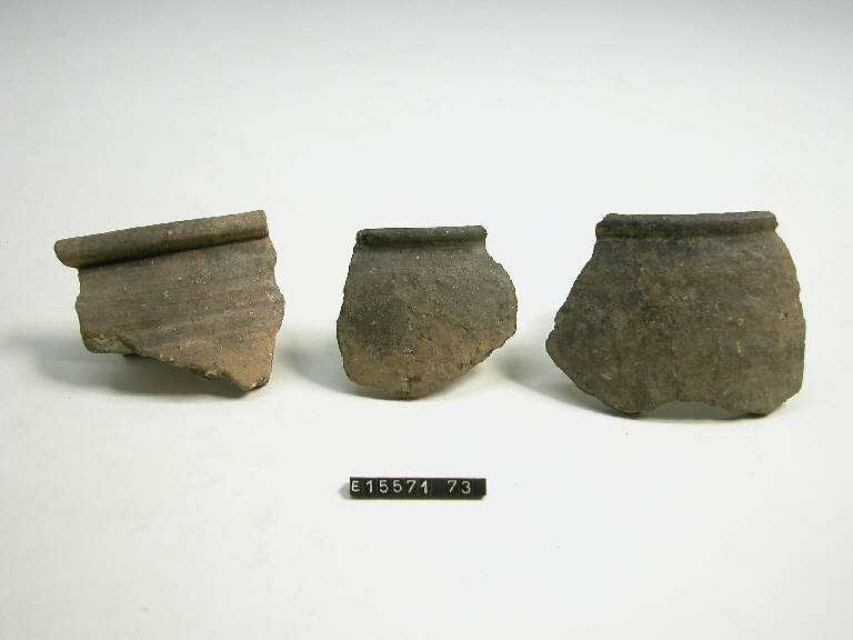 olla (frammento di) - cultura di Golasecca (secc. V/ IV a.C.)