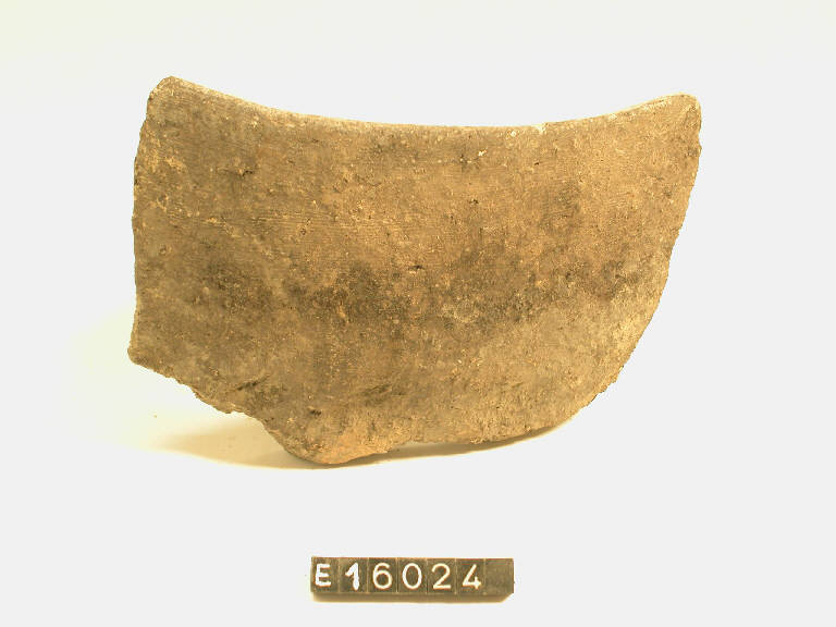 olla (frammento di) - cultura di Golasecca (secc. V/ IV a.C.)