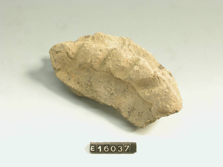 olla (frammento di) - cultura di Golasecca (secc. V/ IV a.C.)