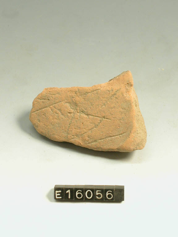 fondo - cultura di Golasecca (secc. V/ IV a.C.)