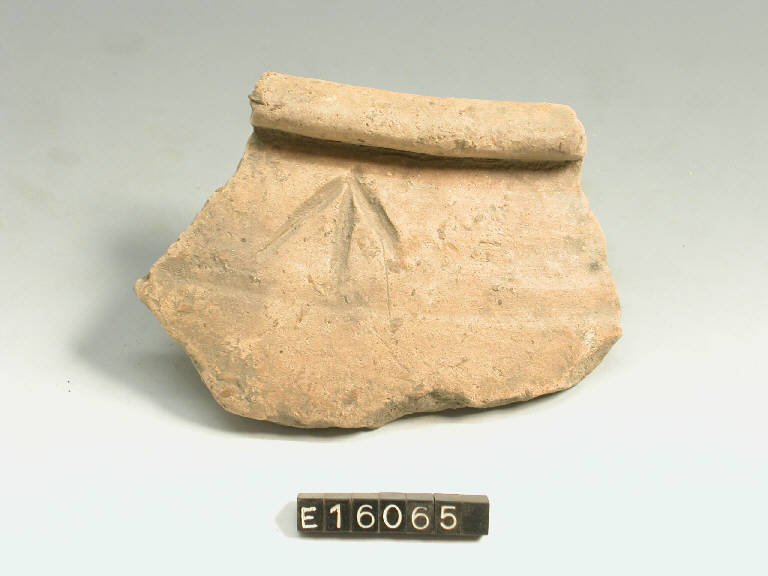 olla (frammento di) - cultura di Golasecca (secc. V/ IV a.C.)