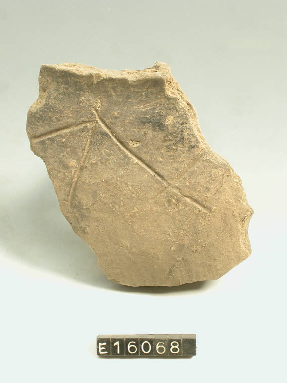 recipiente (frammento di) - cultura di Golasecca (secc. V/ IV a.C.)