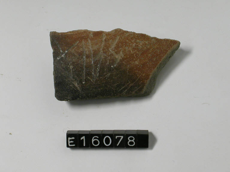 recipiente (frammento di) - cultura di Golasecca (secc. V/ IV a.C.)