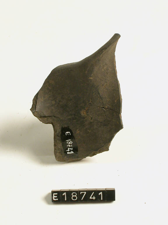 orlo - cultura di Golasecca (secc. V/ IV a.C.)