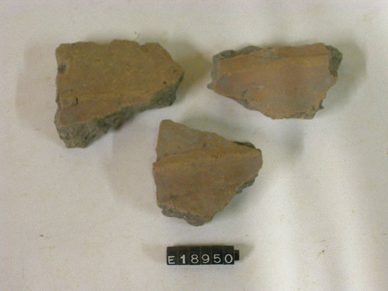 vaso (frammento di) - cultura di Golasecca (secc. V/ IV a.C.)