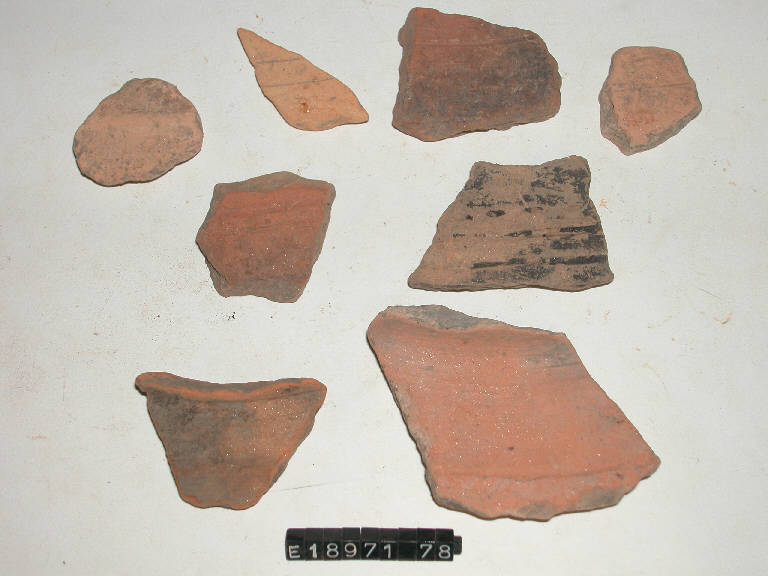 vaso (frammento di) - cultura di Golasecca (secc. V/ IV a.C.)