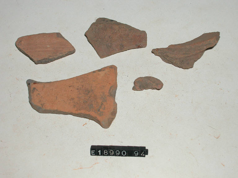 ciotola (frammenti di) - cultura di Golasecca (secc. V/ IV a.C.)