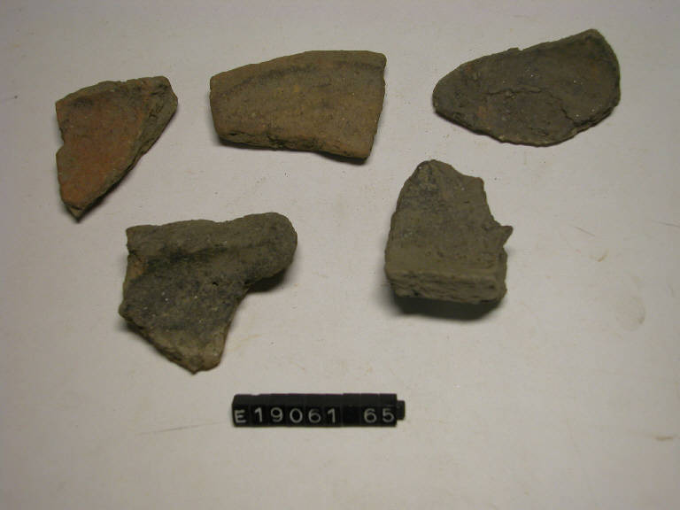 fondo piatto - cultura di Golasecca (secc. V/ IV a.C.)