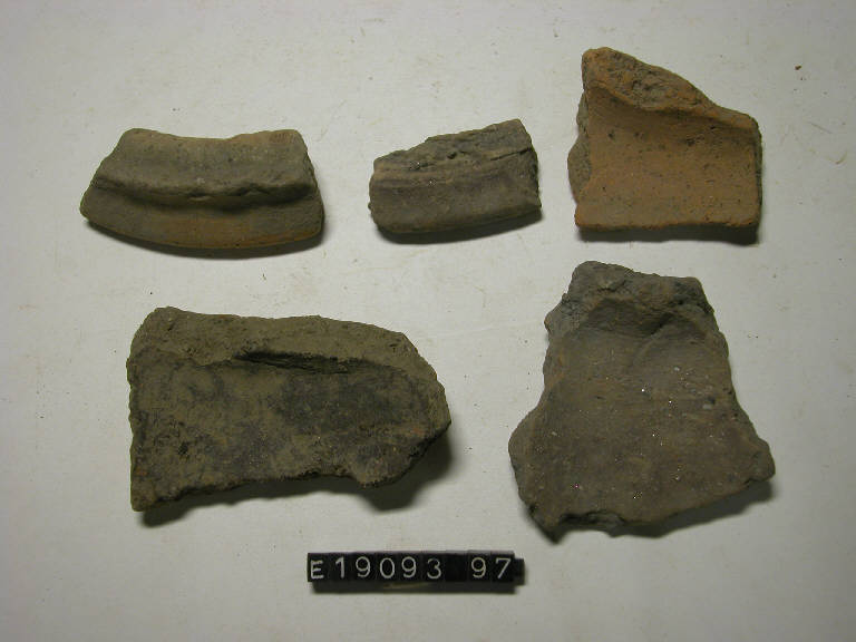 fondo piatto - cultura di Golasecca (secc. V/ IV a.C.)