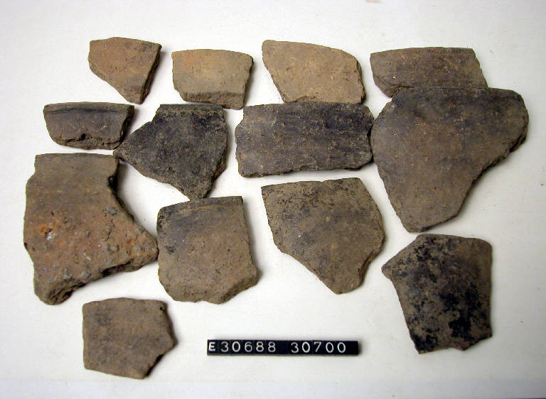 coperchio (frammento di) - cultura di Golasecca (secc. V/ IV a.C.)