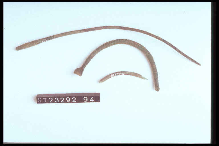 fibula ad arco ingrossato - cultura di Golasecca (sec. IX a.C.)