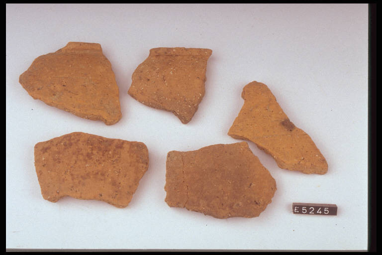 vaso - cultura di Golasecca (fine/inizio secc. VI/ V a.C.)