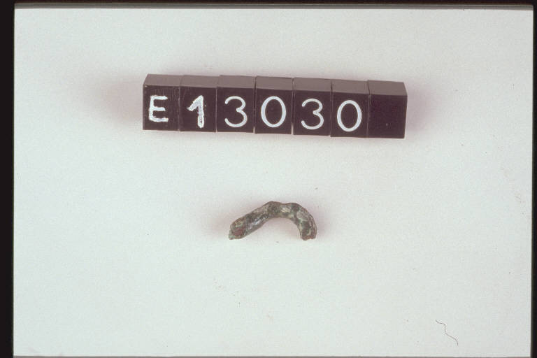 molla (di fibula) - cultura di Golasecca (secc. X/ IV a.C.)