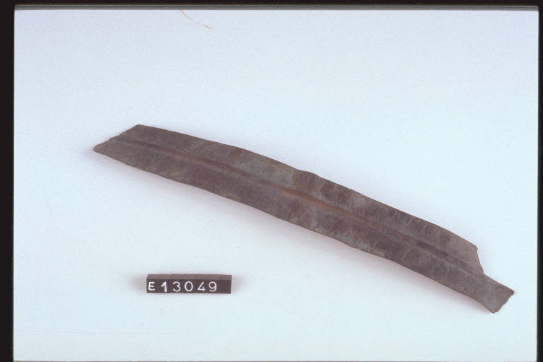 lamina - cultura di Golasecca (secc. X/ IV a.C.)