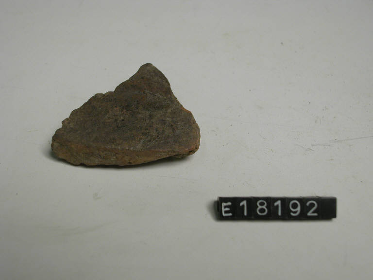 fondo piatto - Cultura di Golasecca (secc. V/ IV a.C.)