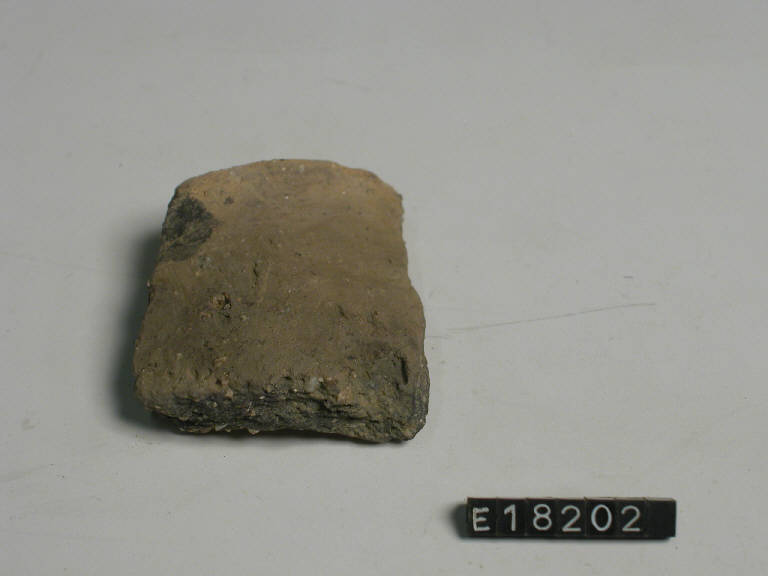 orlo - Cultura di Golasecca (secc. V/ IV a.C.)