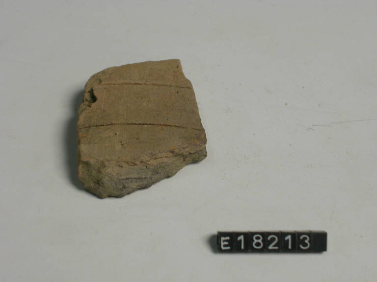 fondo - Cultura di Golasecca (secc. V/ IV a.C.)