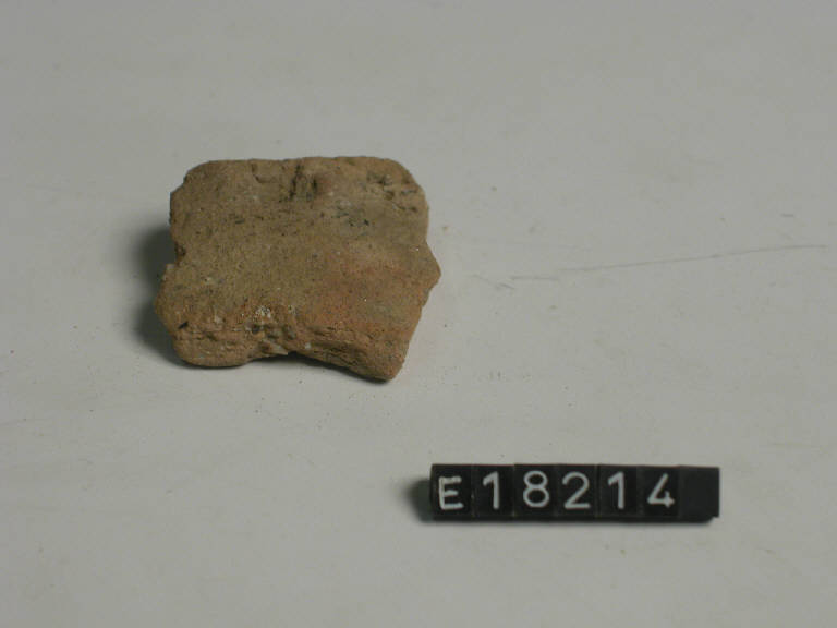 fondo - Cultura di Golasecca (secc. V/ IV a.C.)