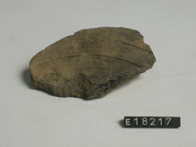 fondo - Cultura di Golasecca (secc. V/ IV a.C.)