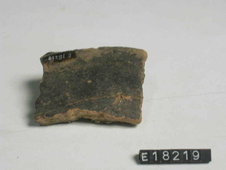 fondo - Cultura di Golasecca (secc. V/ IV a.C.)