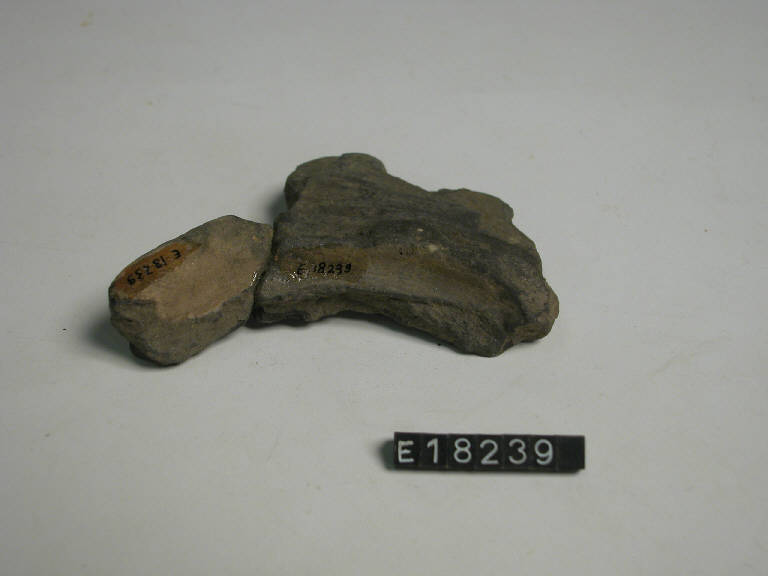 fondo - Cultura di Golasecca (secc. V/ IV a.C.)