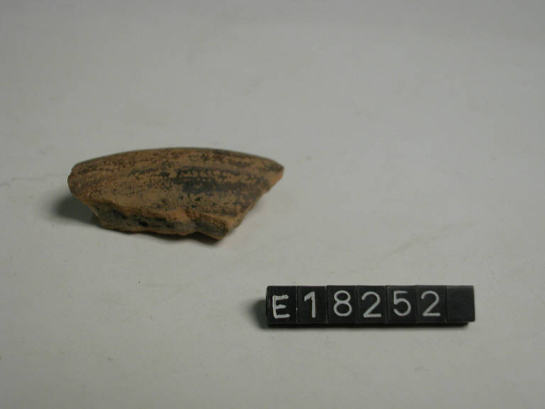 vaso - Cultura di Golasecca (secc. V/ IV a.C.)