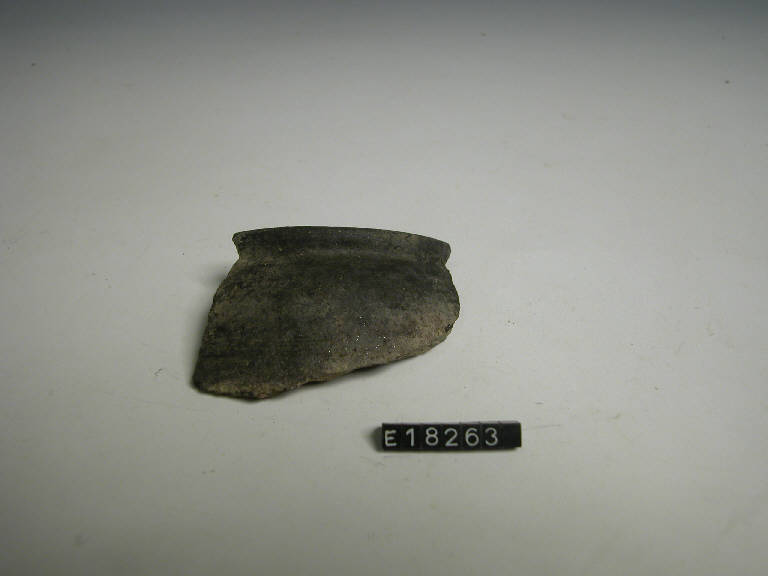 olla - Cultura di Golasecca (secc. V/ IV a.C.)