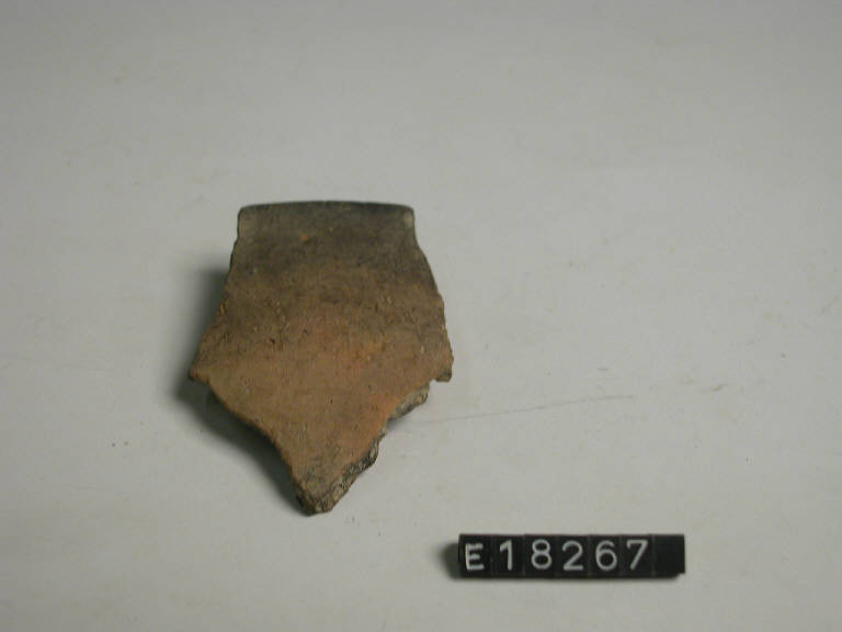 orlo - Cultura di Golasecca (secc. V/ IV a.C.)