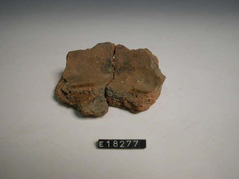 fondo piatto - Cultura di Golasecca (secc. V/ IV a.C.)