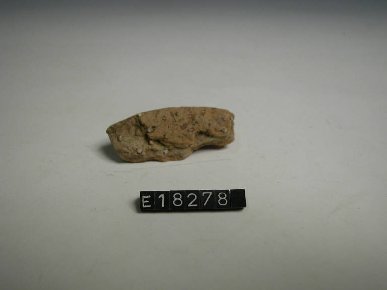 fondo piatto - Cultura di Golasecca (secc. V/ IV a.C.)