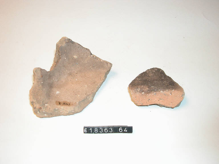 fondo piatto - Cultura di Golasecca (secc. V/ IV a.C.)