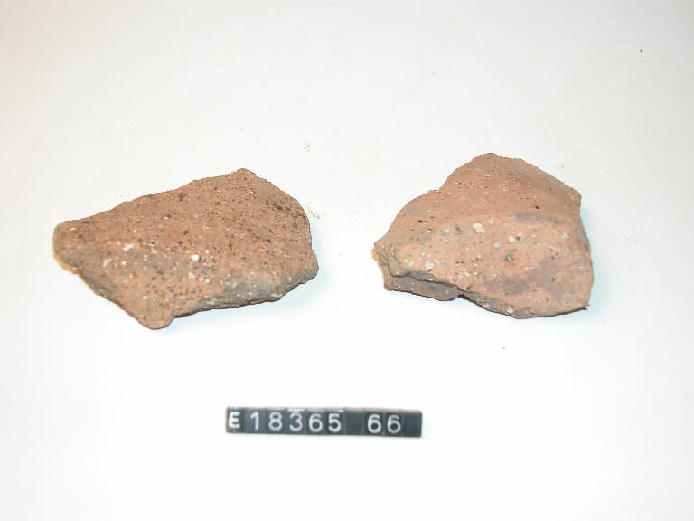 fondo piatto - Cultura di Golasecca (secc. V/ IV a.C.)