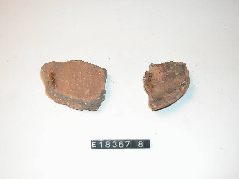 fondo piatto - Cultura di Golasecca (secc. V/ IV a.C.)