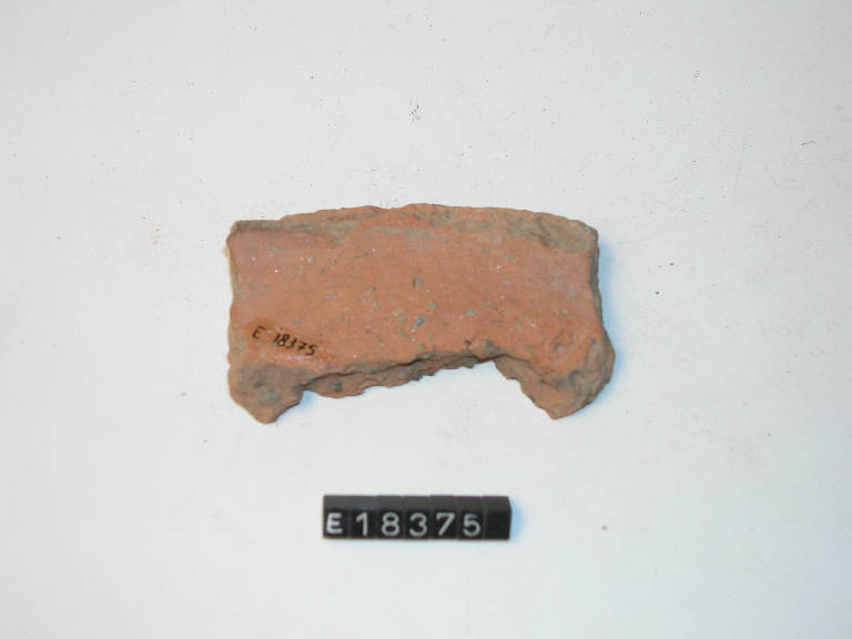 fondo piatto - Cultura di Golasecca (secc. V/ IV a.C.)